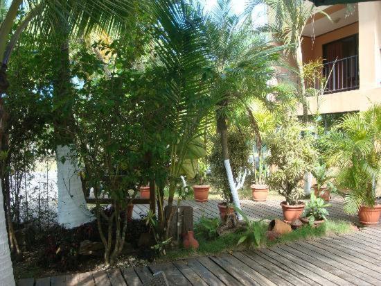 Copacabana Hotel And Suites (Adults Only) 哈科 外观 照片